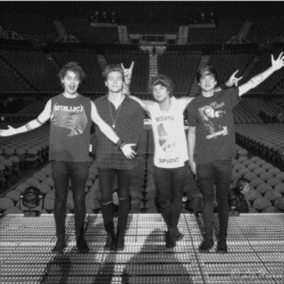 I love boy bands they are lyfe
