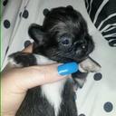 Melissa Betts - @LadyP6998 - Twitter