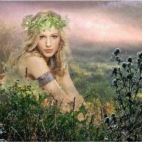 Verila7's profile picture. 