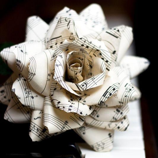 Alejandrera14's profile picture. 