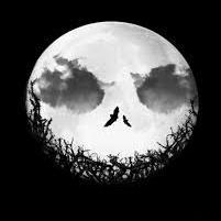 Follow your dreams until you reach them. Then you'll be happy. Follow me on instagram at @turtle_lucker
