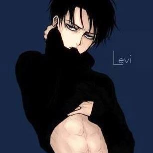 I am the Leader of the Survey Corps that hunts Titans. I am a clean-freak and will fight for my comrades. I'm a Gay, Uke and single.