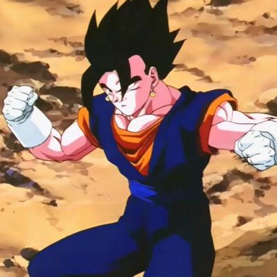 VegitoWarrior Profile Picture