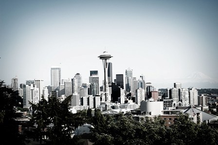 seattlemainsolu's profile picture. Landscape, construction, property management and maintenance experts