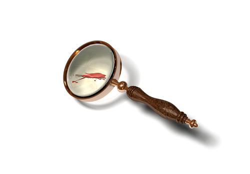 Audience interactive murder mysteries, game shows and more
