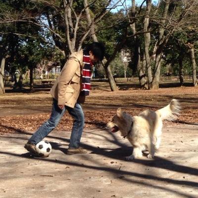 海外サッカー(特にプレミアリーグ)ファン歴15年//スパーズファン歴6年//マディソン#10
