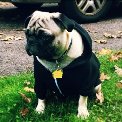 im following people so i can promote my youtube channel. @johnruther4d  

https://t.co/fKAjqA1LHY
