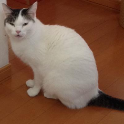 よろしくです！