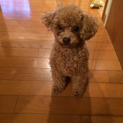 むそう塾生86-4