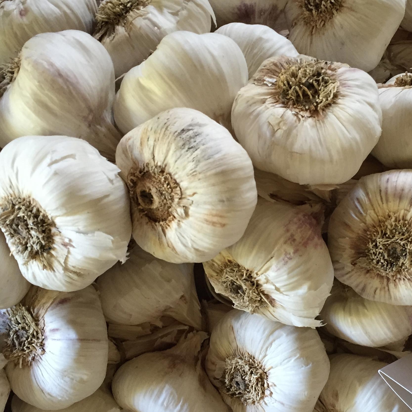 http://t.co/7idDIGtIfE the umbrella brand of a leading organic and conventional fresh produce farms in the Riverina, from our farm to your table...