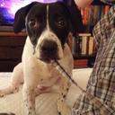 Nicholas Steiner - @MrNickSteiner - Twitter