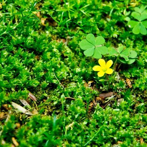 喘息でお悩みの方のために、喘息改善へと繋がる方法や運動に関して呟いています。気になったり、良いなと思ったら、RTやいいね、フォローお願いします。自宅で簡単に出来る方法で、呼吸を楽にすることも可能なので、詳しくは下記リンクをご覧ください。
