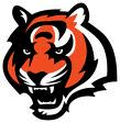bengalsstripes's profile picture. Cincinnati Bengals News