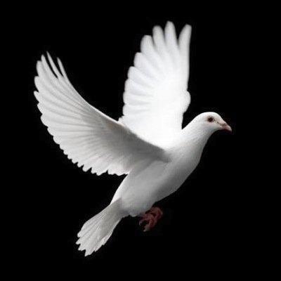 GENELAF2015's profile picture. FB