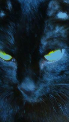 The takers get the honey but the giver sings the blues
