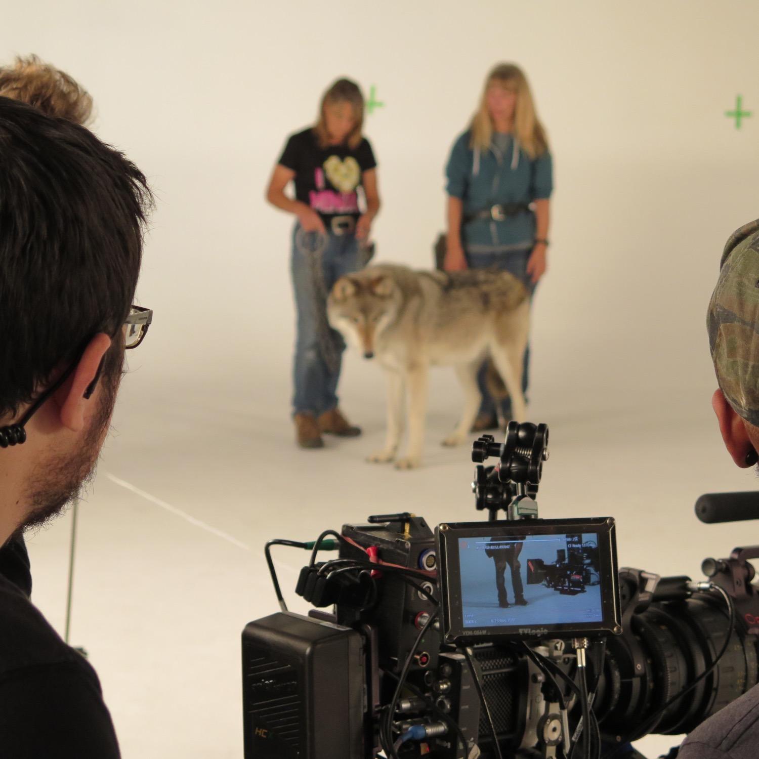 SelektCasting's profile picture. 