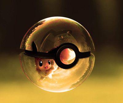 Pokemon trainer