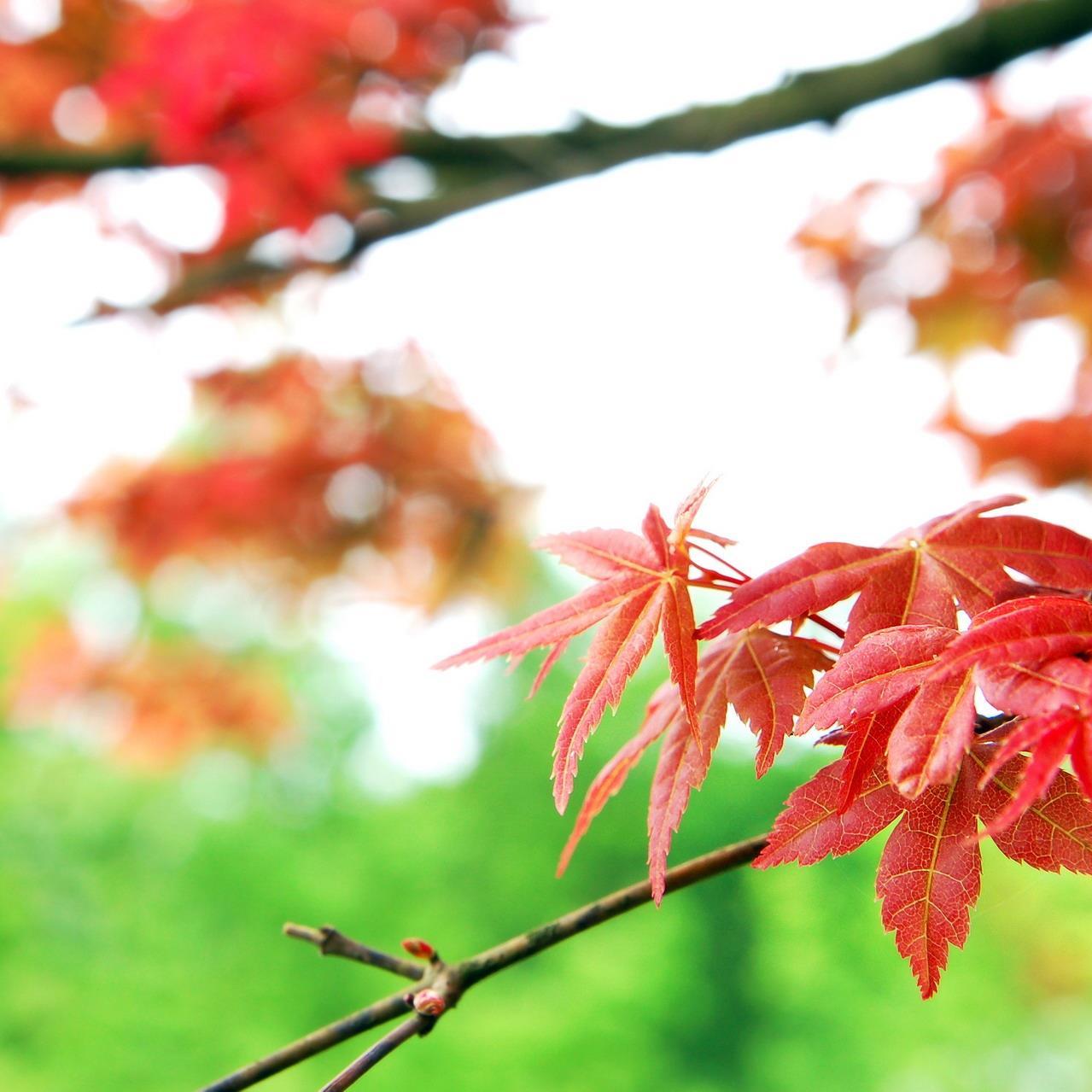 Proofreader365's profile picture. Contact us for all of your Proofreading jobs ! Also translations from English to French and vice-versa.