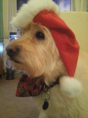 BagnaldLou's profile picture. Teign Heritage Centre Volunteer Curator