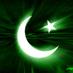 Areesha Arif (@areeshaarif1) Twitter profile photo