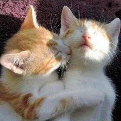 恋がしたい。こんなあたしでも。