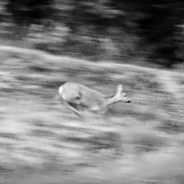 woyteksobieski's profile picture. 