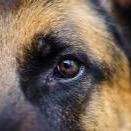 fIrskull37's profile picture. 