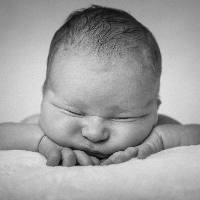 Corporate, newborn and wedding photographer