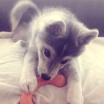 I'm not a dictionary so stop checking out my bio!