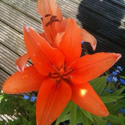 Today is going to be even better than yesterday xxx