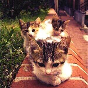 RenoGmail's profile picture. 初めまして！