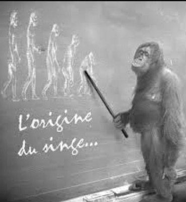 Biodégradable doué de parole, animé par l'énergie du désespoir, détruisant tout sur son passage....