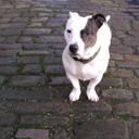 tony rawlins - @tonyrawlins1 - Twitter