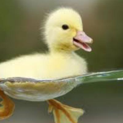 Xbox GT:Qwwax.      Trickshotter and feeder