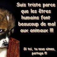C'est avec nos erreurs qu'on apprend... et avec le temps qu'on comprend!