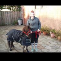Nancy van dijk (@dijknancy) 's Twitter Profile