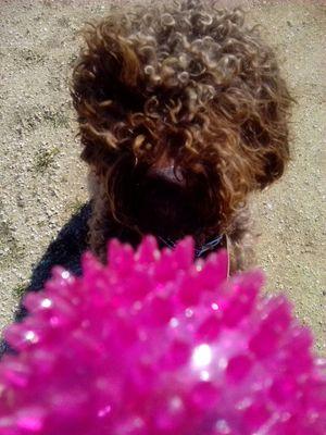 MaribelMontoroO's profile picture. Médico andaluza, viajera, cocinitas y enamorada de mi familia, mi perro, la Alhambra, los carnavales y el mar!!!🐕⛵🏳️‍🌈