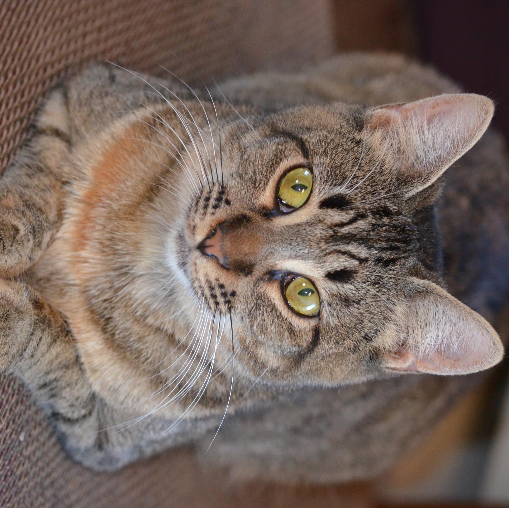 rrepath's profile picture. 