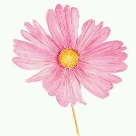 ybtsmon's profile picture. تعال دايركت و ارسل رسالة لشخص تحبه و حط أكاونته ، إرسم إبتسامتهم بنفسك ♥