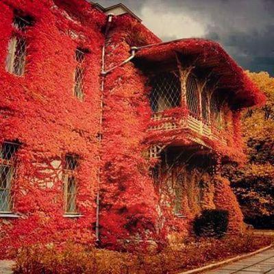 SGokilan's profile picture. 