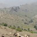 Anwar Hakim - @b792677929e449f - Twitter