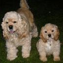 Barbara Fortune - @bar4tune - Twitter