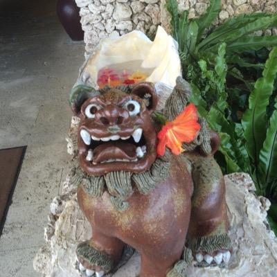 ginnan23m's profile picture. 