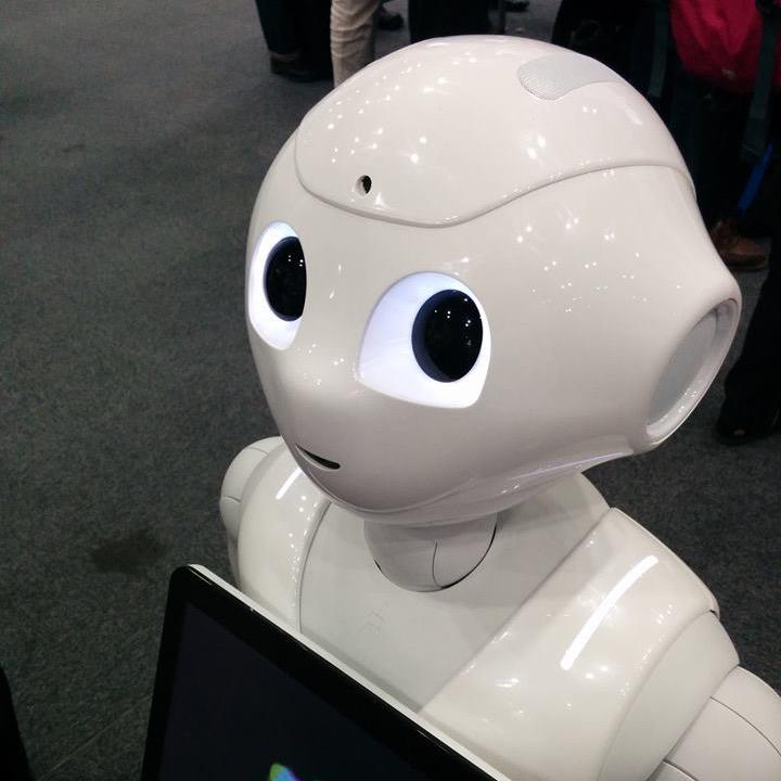 robolab_okayama's profile picture. 岡山のファブスペースでPepperで面白いことを研究してまーす。