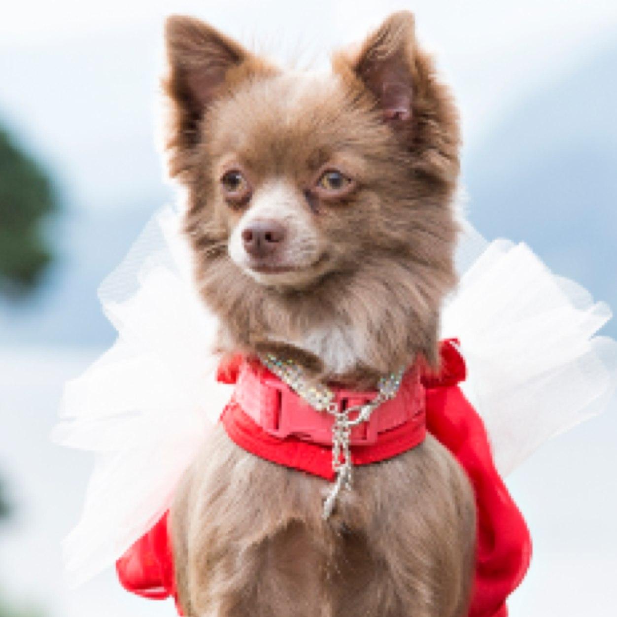 ZonziLove's profile picture. Zonzi, Stoke City, family and travel keeps me buzzing and @Meath_build keeps me busy and on my toes