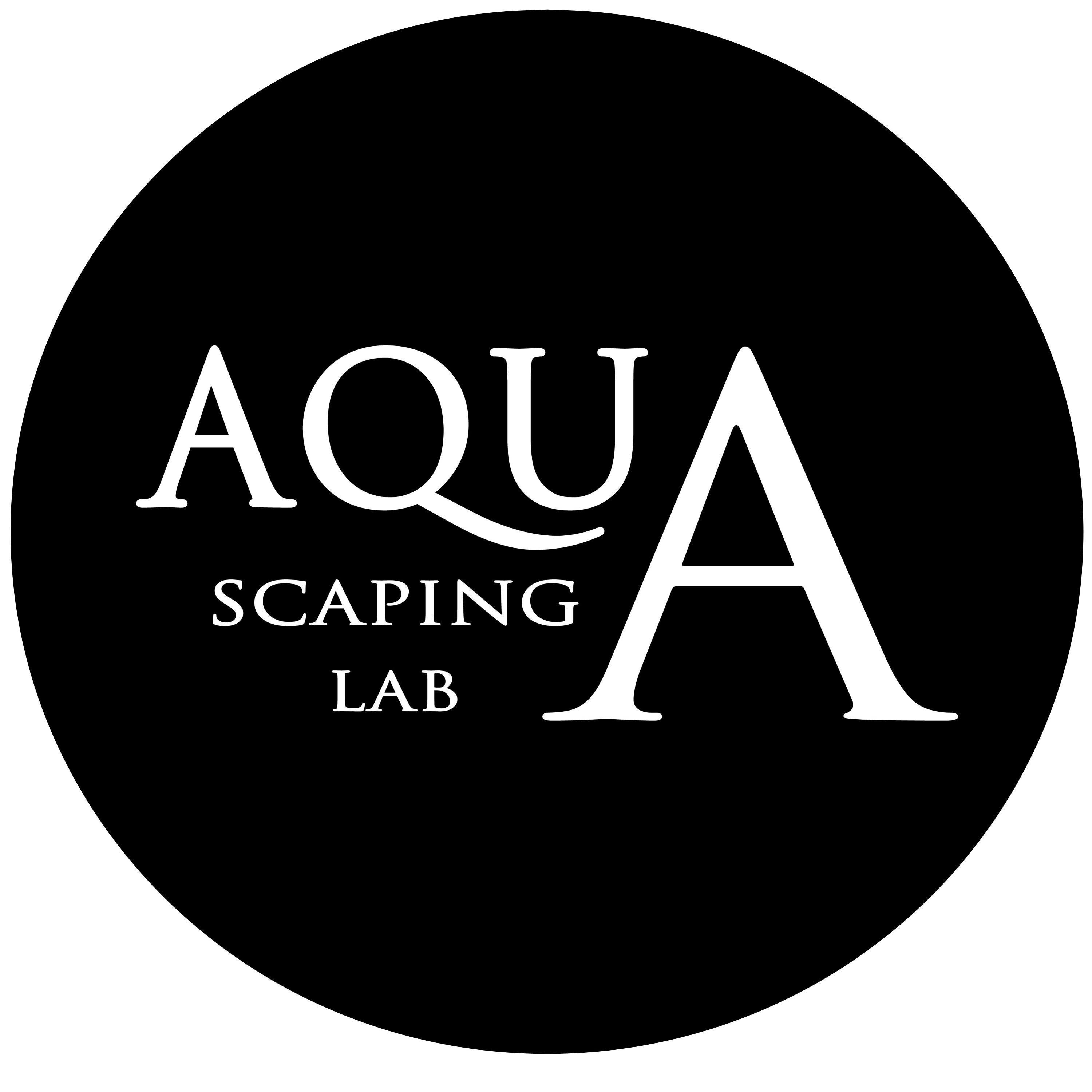 Aquascaping Lab is a channel dedicated to the world of aquariums, where you can find tutorials, reviews, tips and experiences shared by experts.