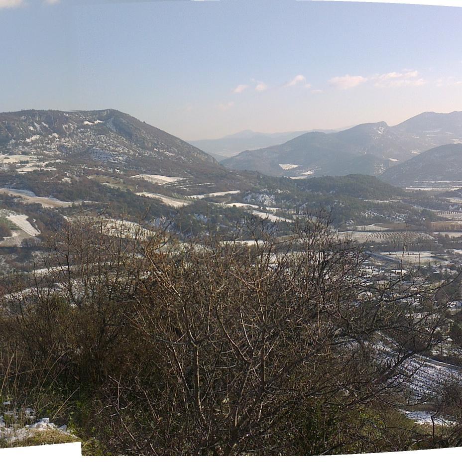 mjd1369's profile picture. 