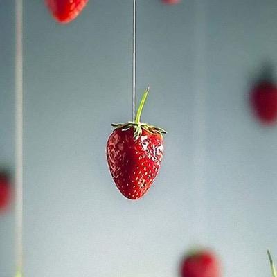 srprivatebets's profile picture. premium tipping and advice service bringing you over 25 years