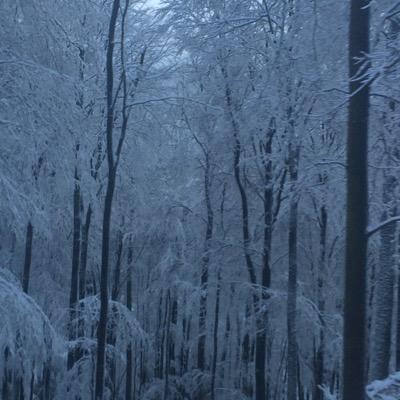 ksmp129's profile picture. 