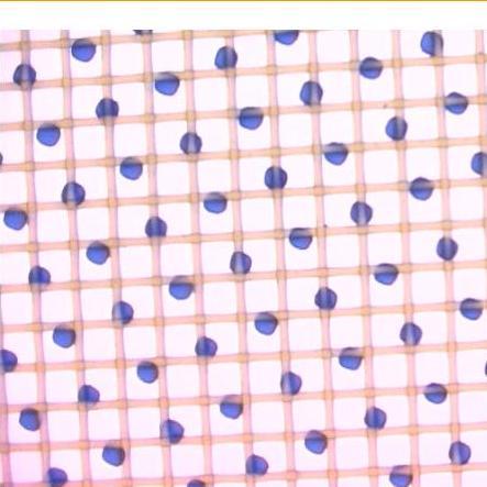 Dedicated to the mastering of the 5 basic Fundemantal areas of Screen printing. Proper Screen Tension, Stencil coating, Exposing, Squeegee, and Curing.